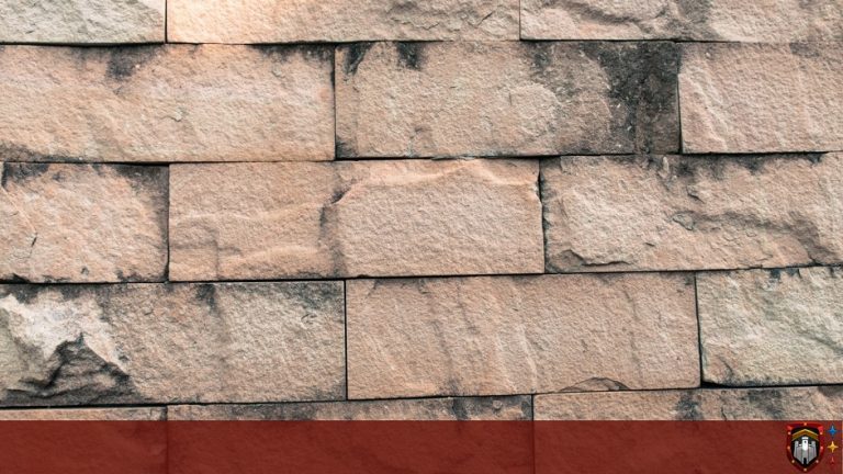 proyecto construcción cdmx